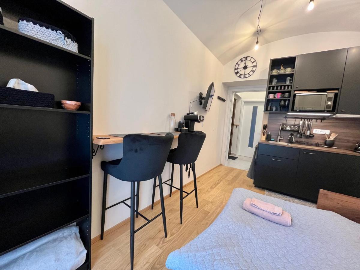 Apartment V Prizemi S Kuchyni A Koupelnou Prag